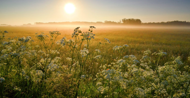 Staroobrzędowcy – Iwanczaj na wszystkie pory roku