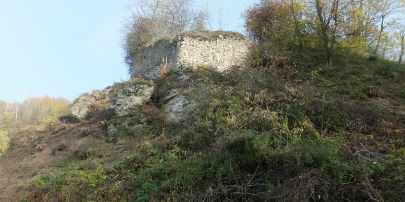 1. Widok współczesny ruin zamku (fot. Alicja Mężyk)