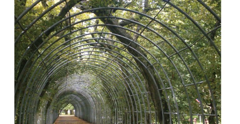 Dla miłośników fotografii