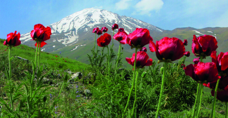 Kobiety na wulkany: Demawend