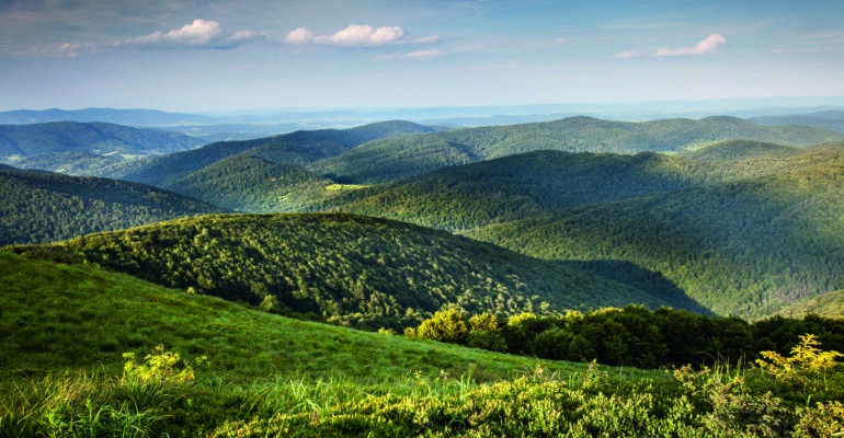 Bieszczadzkie lokomotywy turystyki