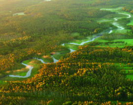 Kto żyw płynie  na Krutynię!